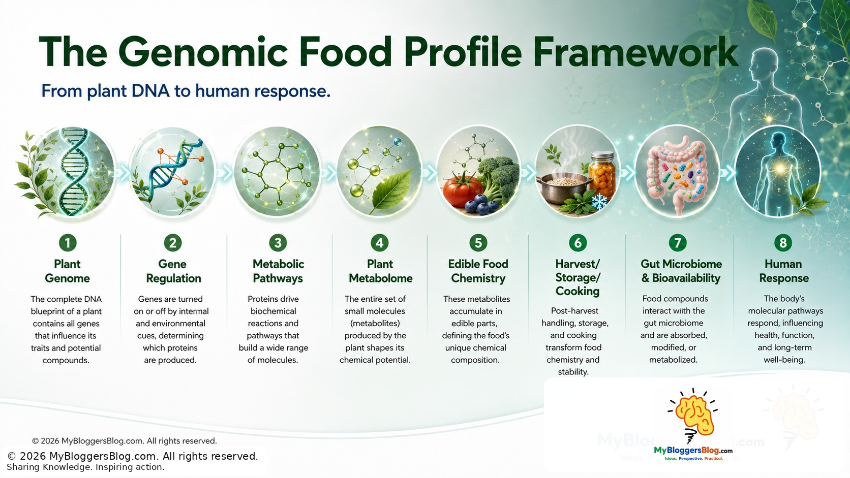 Diagram showing the Genomic Food Profiling chain from genome through gene expression and plant metabolome to human exposure