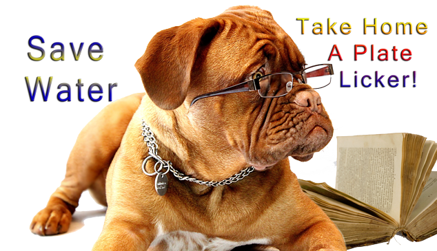 Save Water - Take Home A Plate Licker!